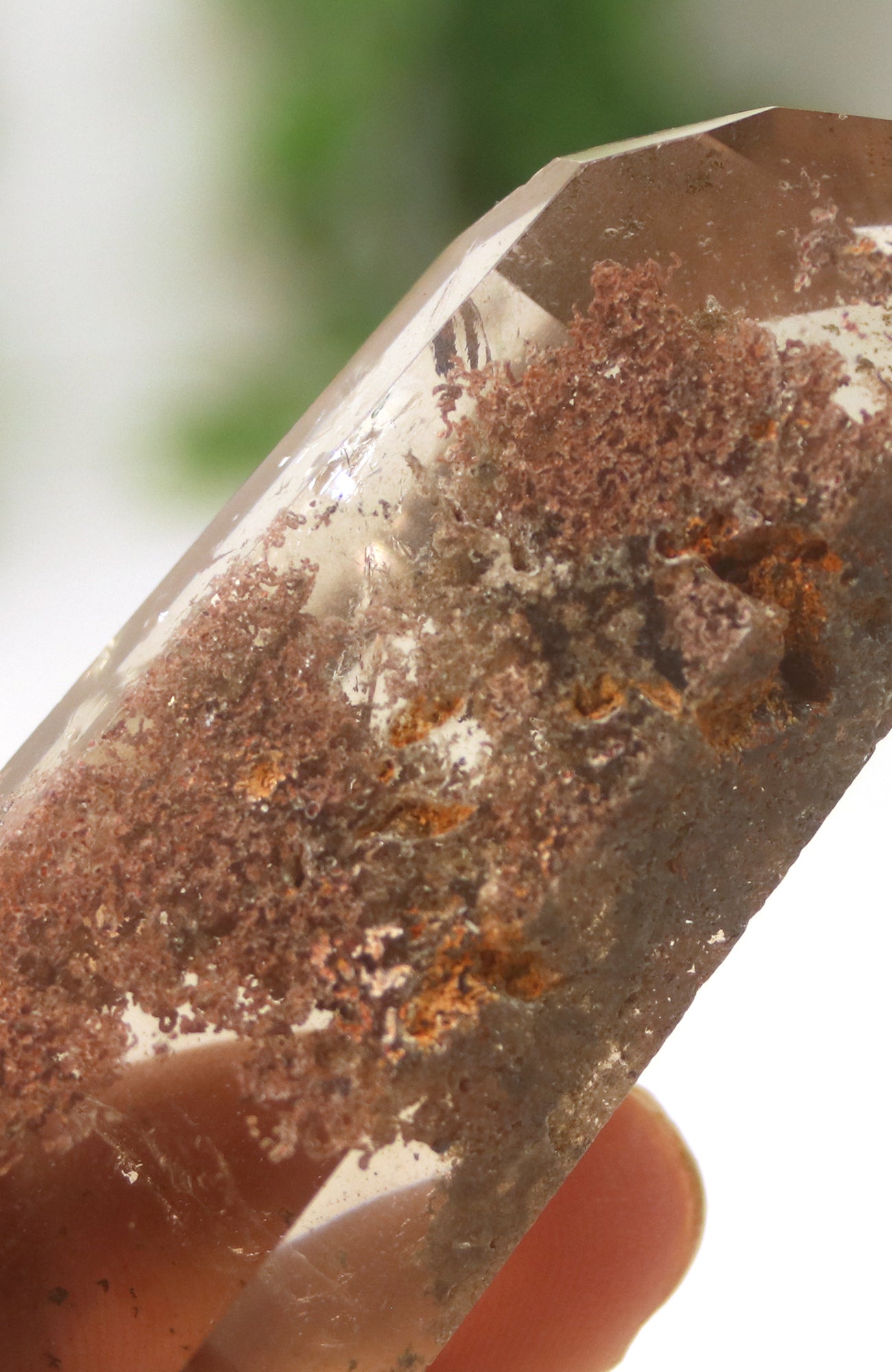 Lodalite Quartz Freeform Generator
